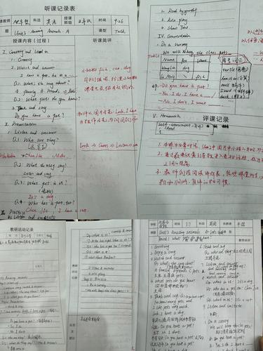 郑东新区小英教师认真学习