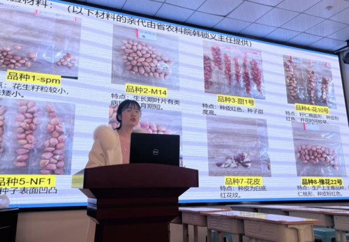 2.郑东新区白沙中学丁凌雁老师进行跨学科实践案例分享