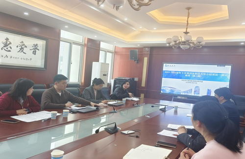 2皇甫丽敏副主任对各学段教学设计进行精准指导